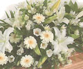 Wedding Flowers
