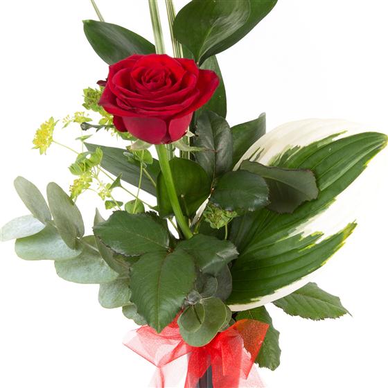 My Image 18